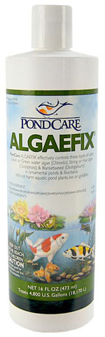 Aquarium Pharmaceuticals - PondCare Algaefix - 16 fl. oz.