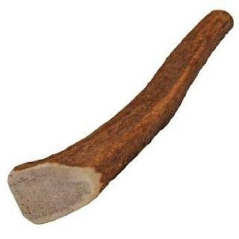 HEALTH EXTENSION - Whole Elk Antler Small